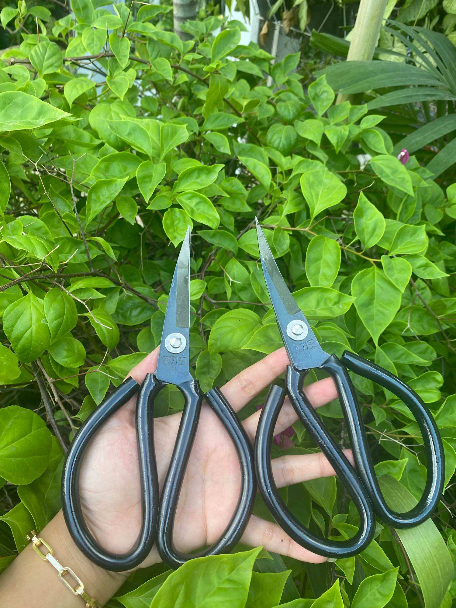 Kéo mũi cong lưỡi Thép đen - Mẫu cán đen 20cm
