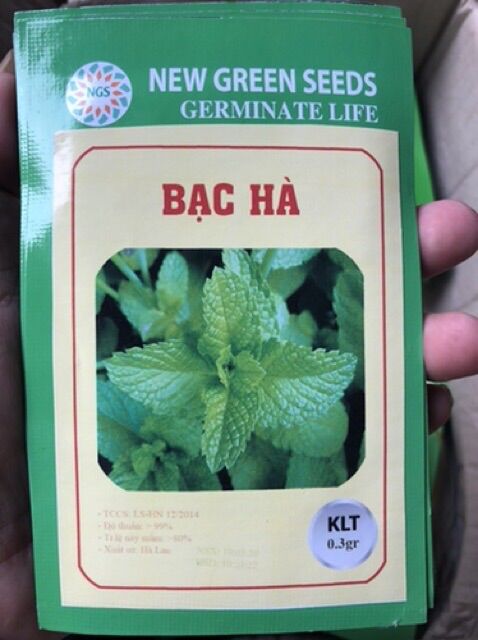 Hạt giống Rau Bạc Hà