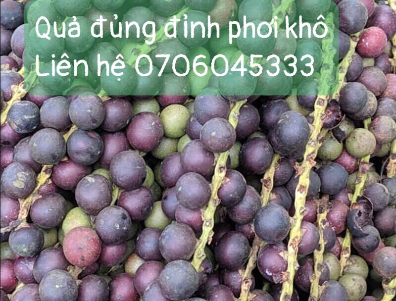 Combo 3 ký quả đủng đỉnh đã phơi khô