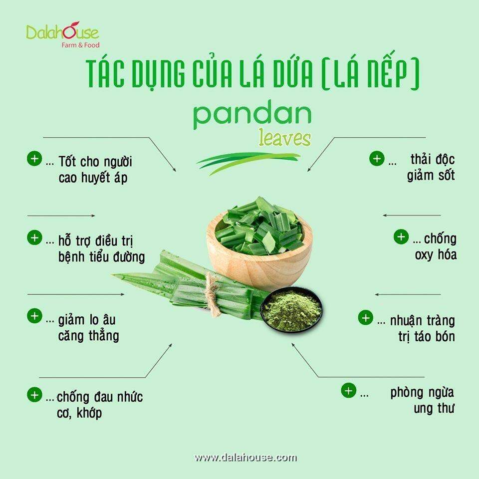 Bột Lá Dứa Nếp Nguyên Chất Sấy Lạnh