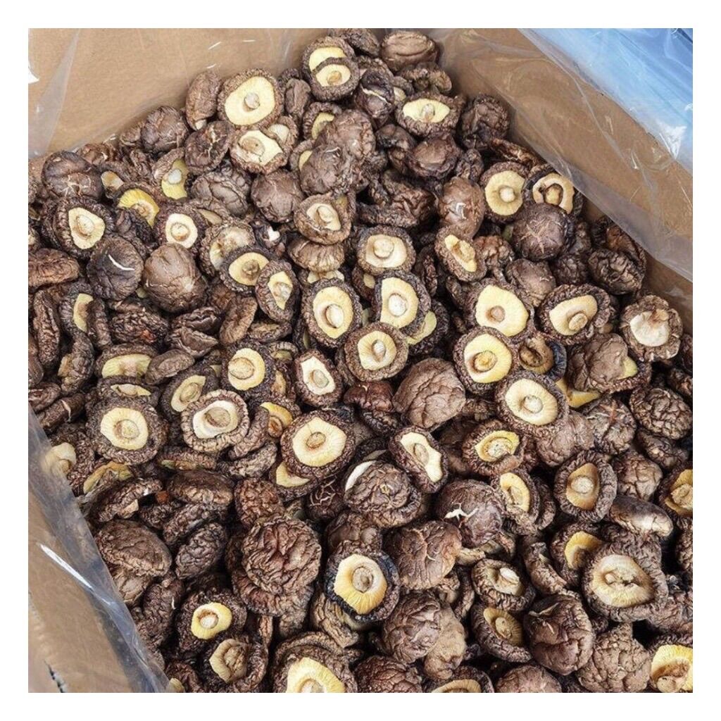 Đặc Sản Tây Bắc SaPa ( 500g 🍄 Đông Cô , Nấm Hương hàng loại 1 , Thơm Ngon )