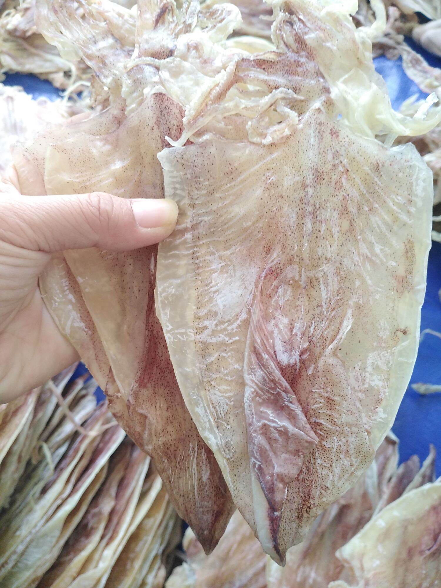 5 con khô mực như hình