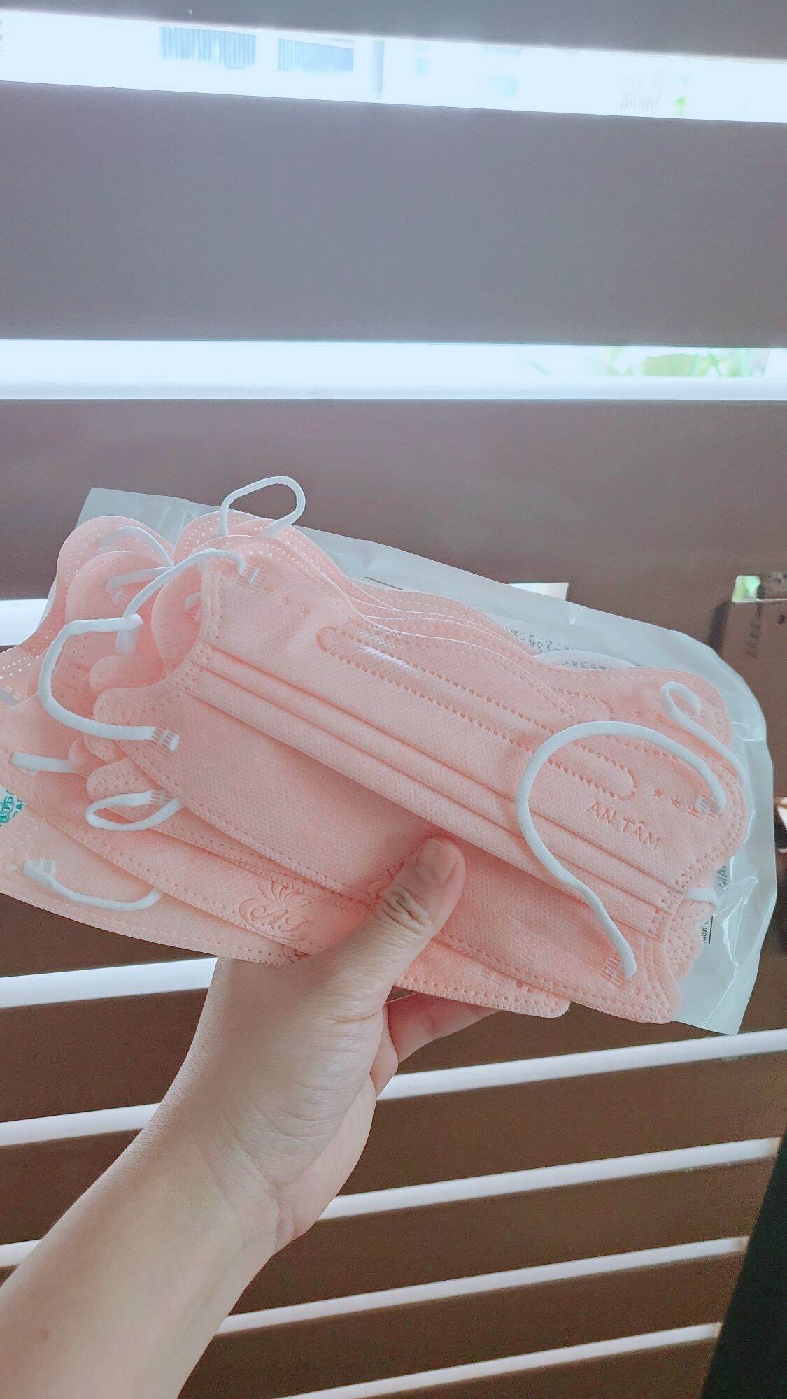 Một gói khẩu trang cua 10 cái