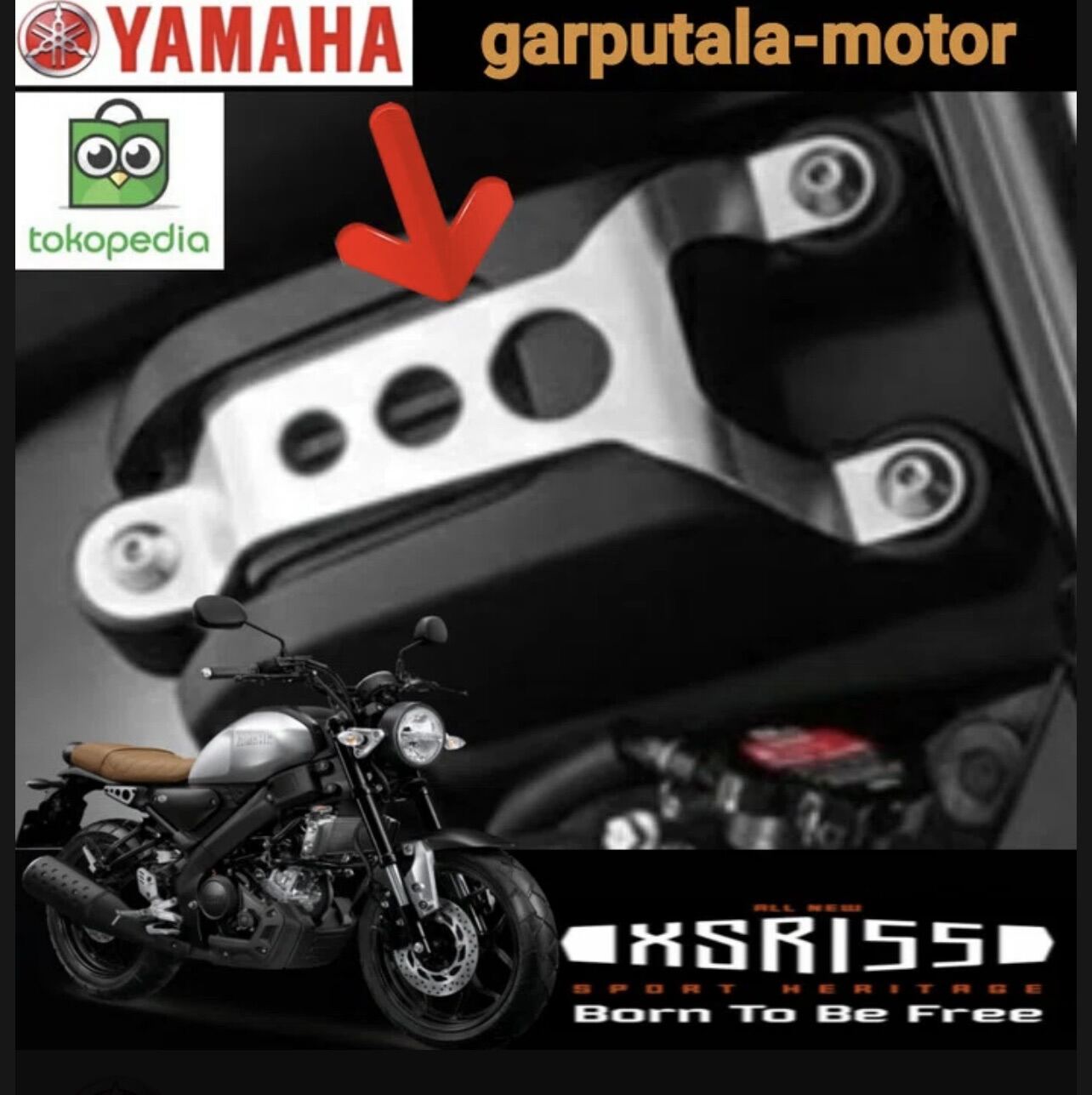 Ốp hộp điện Yamaha xsr155