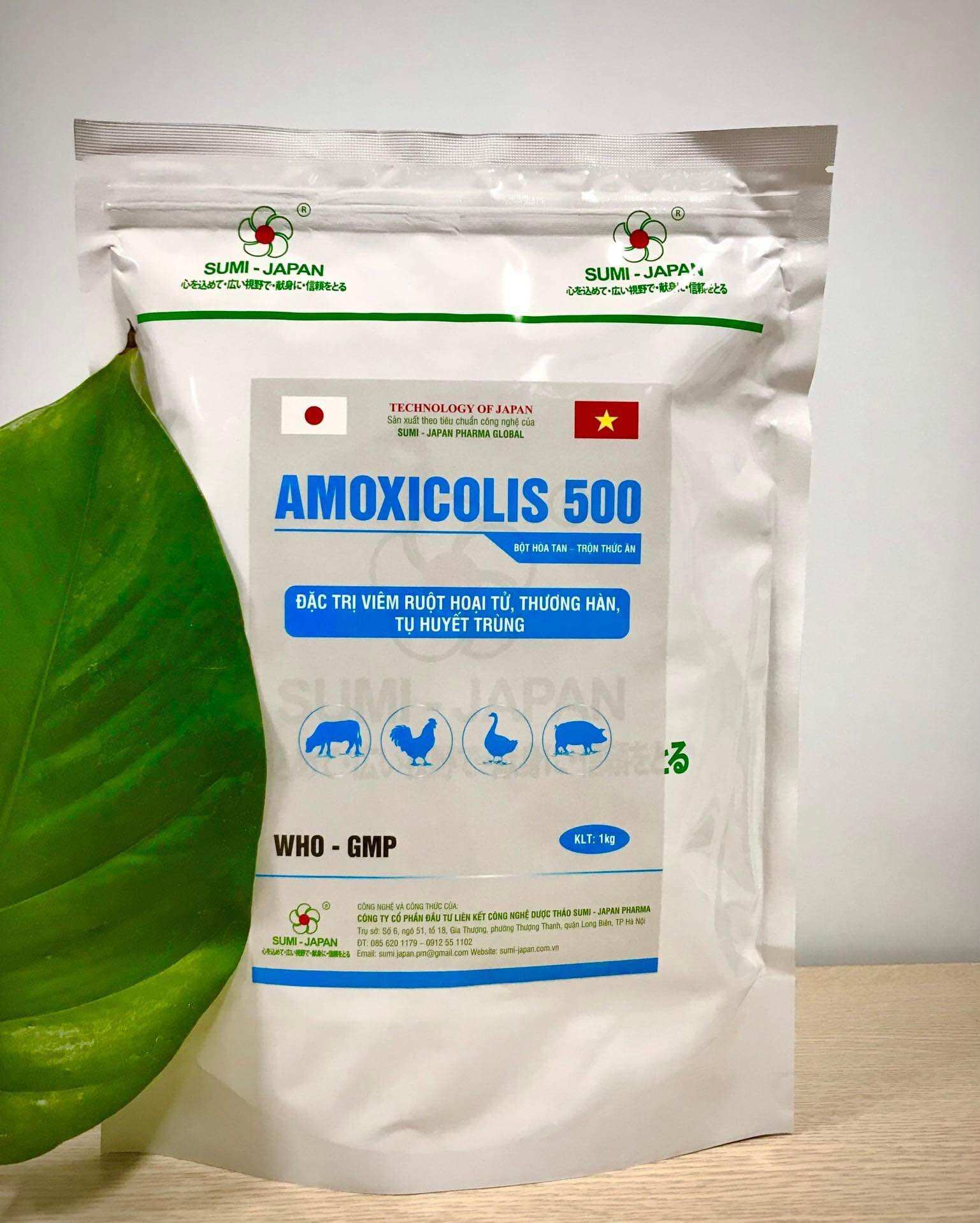 Amocolis 500 gói 100 g dùng trong thú y