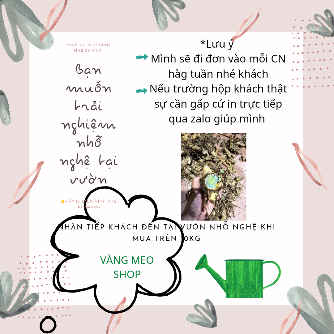 Củ nghệ đen tưởi giá rẻ hàng ms nhổ(2kg)