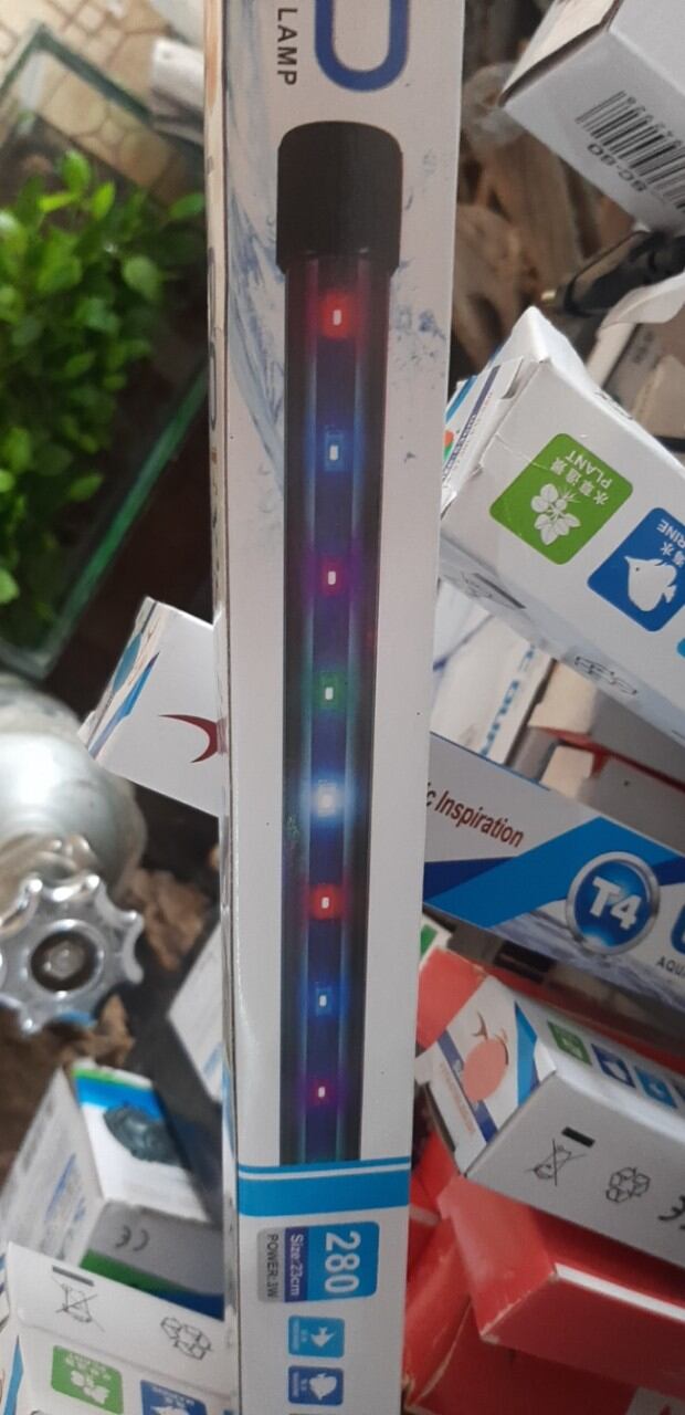 Combo Hồ cá, bể cá dài 60*35*40, sản phẩm như  hình
