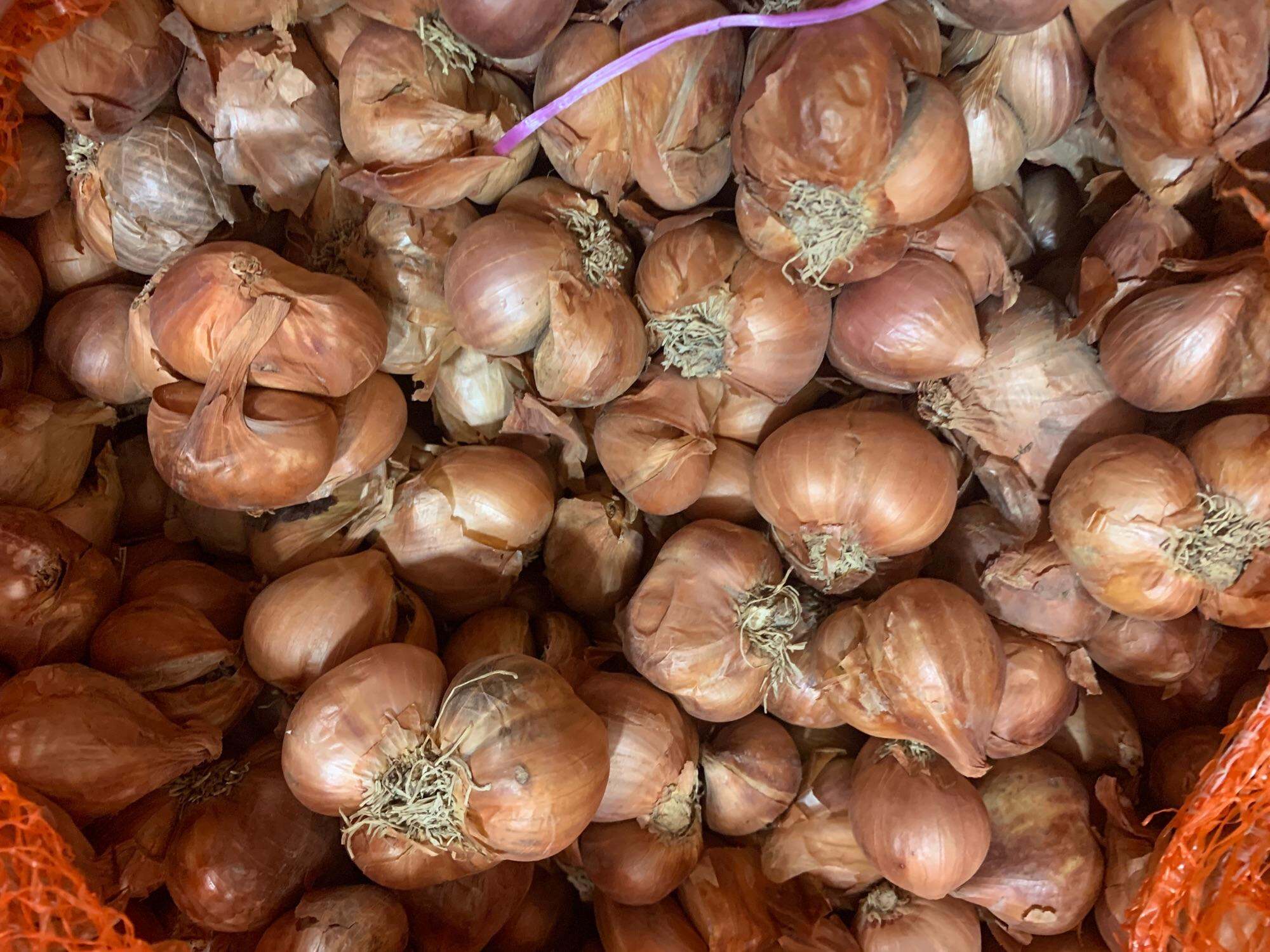 500g hành củ Bắc