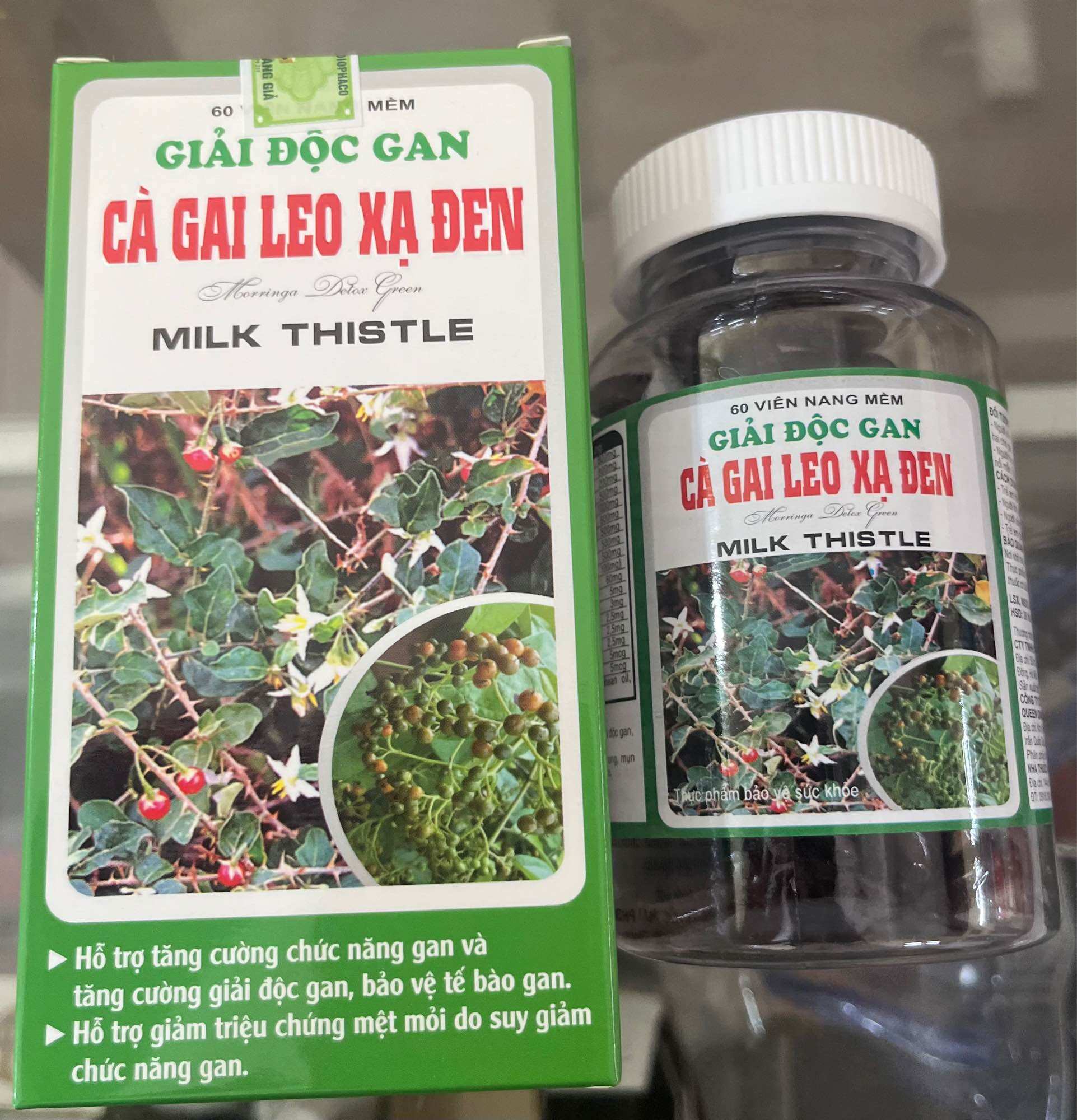 Giải độc gan cà gai leo xạ đen