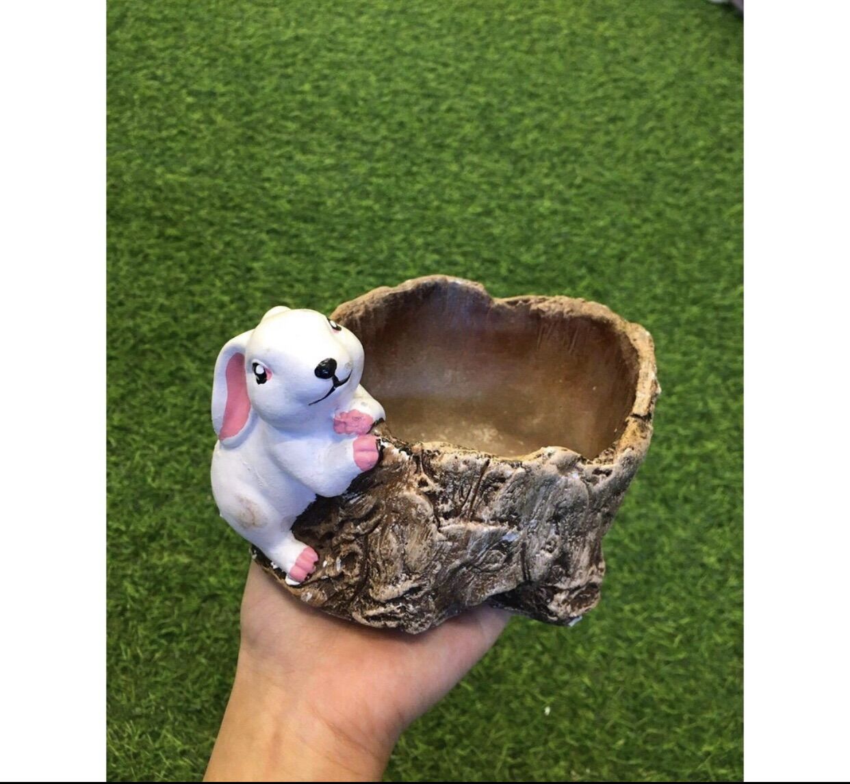 Chậu máng chú thỏ giả gỗ