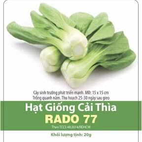 Combo 6 gói hạt giống các loại rau cải