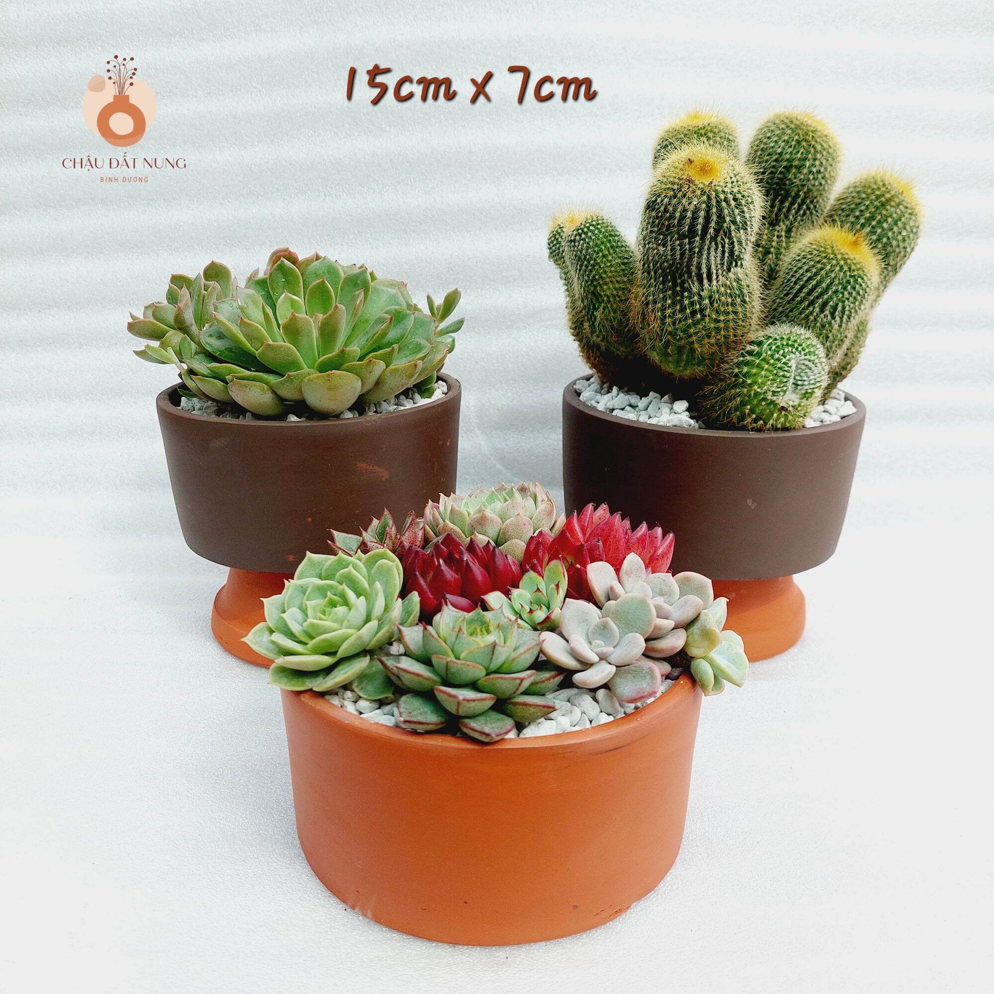 Chậu đất nung Bình Dương - Trụ 14157, miệng chậu 14cm->15cm, chiều cao 7cm