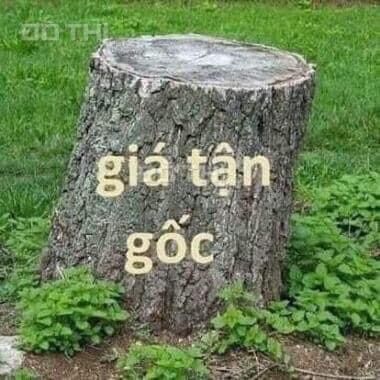 Lồng Gặt lúa- siêu ôm lúa