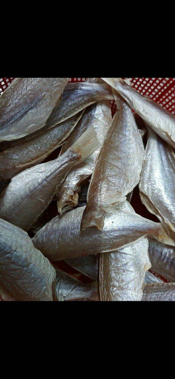 Khô Tươi Ngon 1 Nắng Nhà Làm ( Cá Dứa, Cá Đổng )
