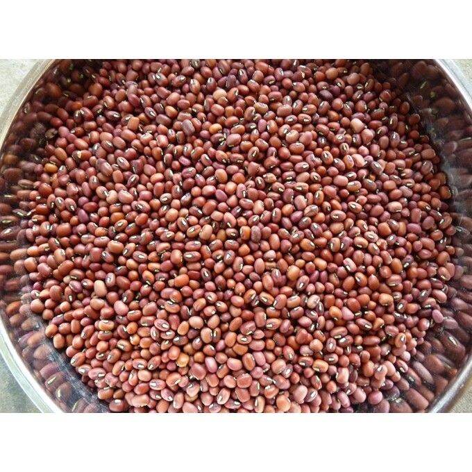 500Gr Đậu Đỏ Hạt Nhỏ Thuần Chủng Đắc Lắc