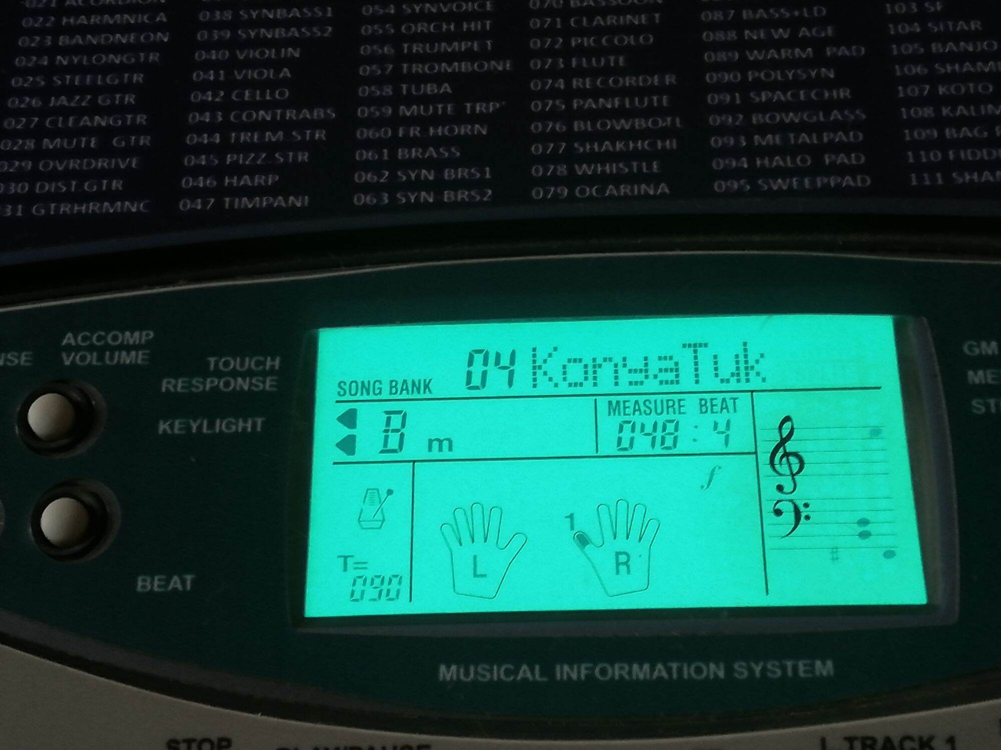 Đàn organ Casio LK 55