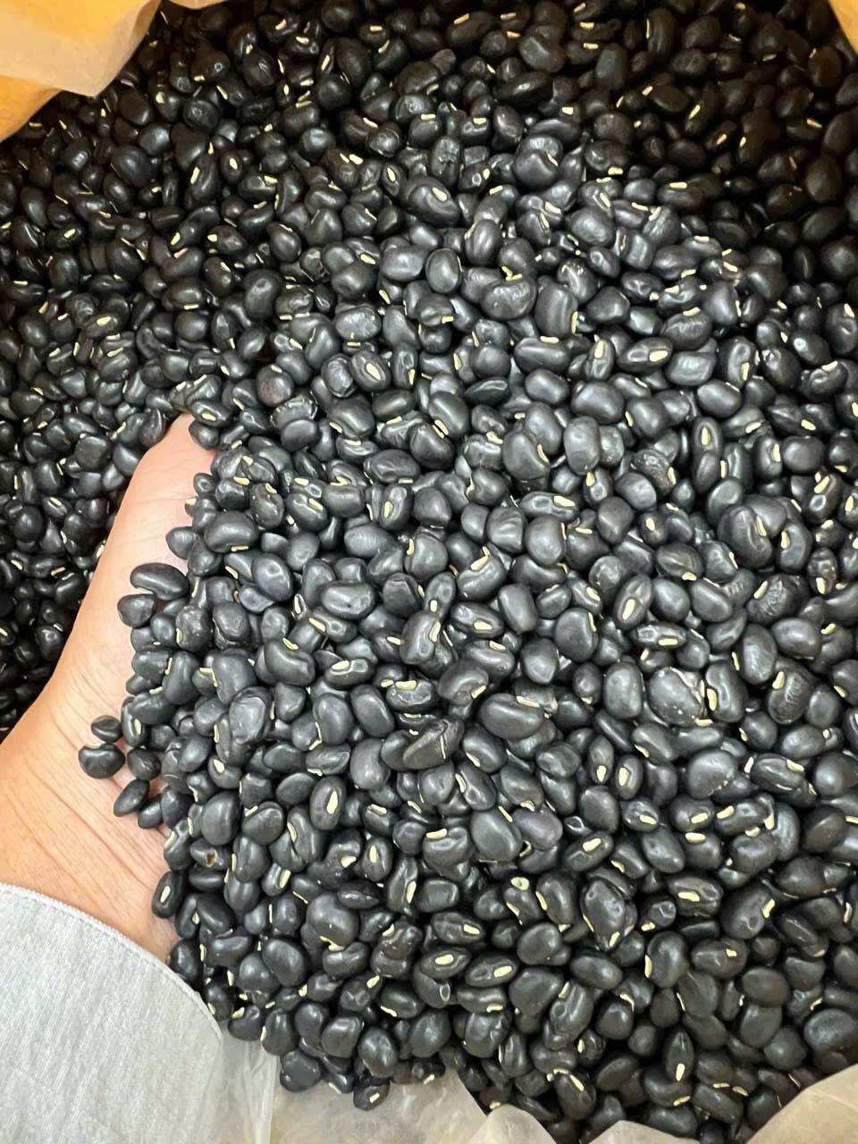 Đậu đen xanh lòng Phú Minh Tâm (Túi 1kg)