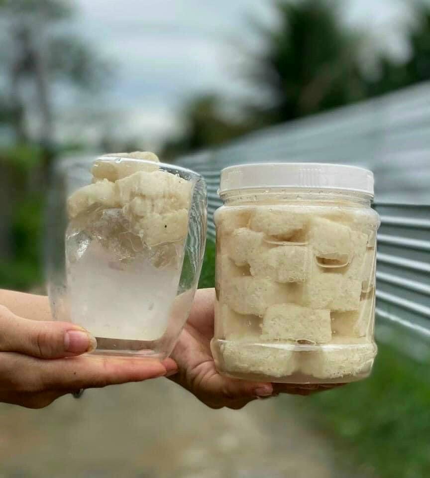 Cơm rượu nếp hương