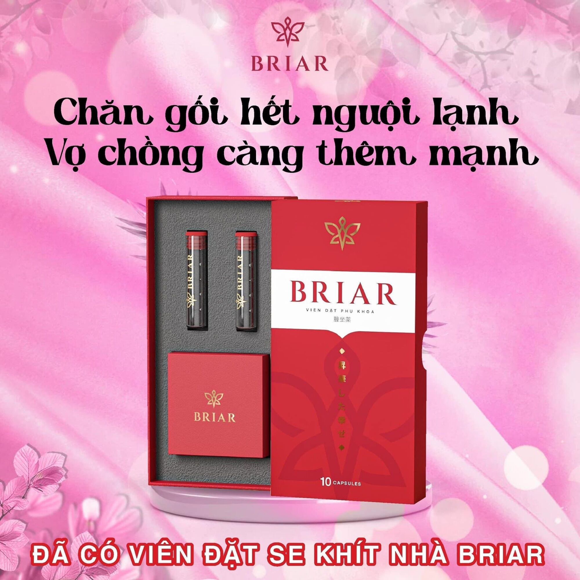 Viên đặt thảo mộc briar