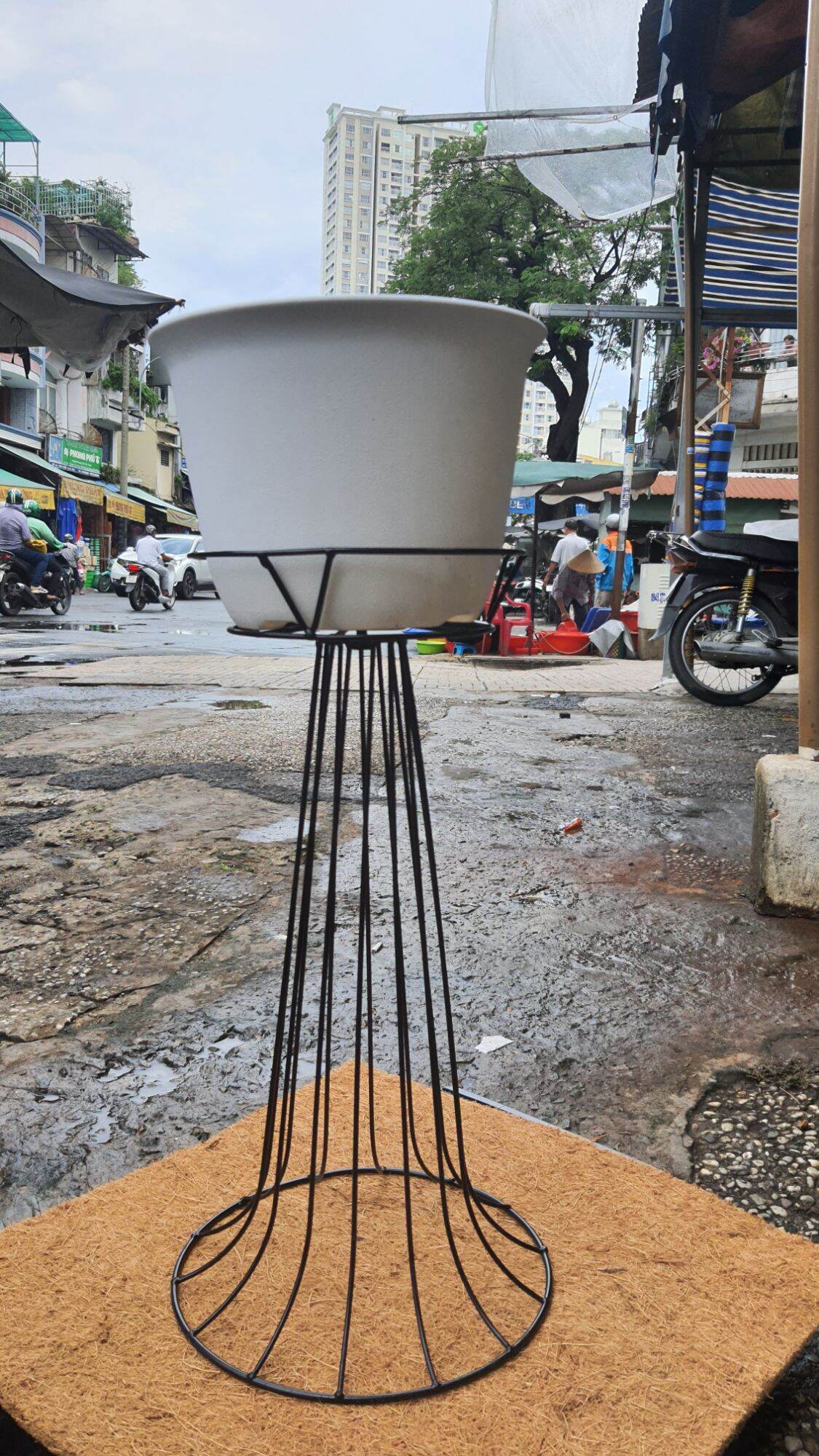 Đôn sắt kê chậu cây trang trí cao 50cm