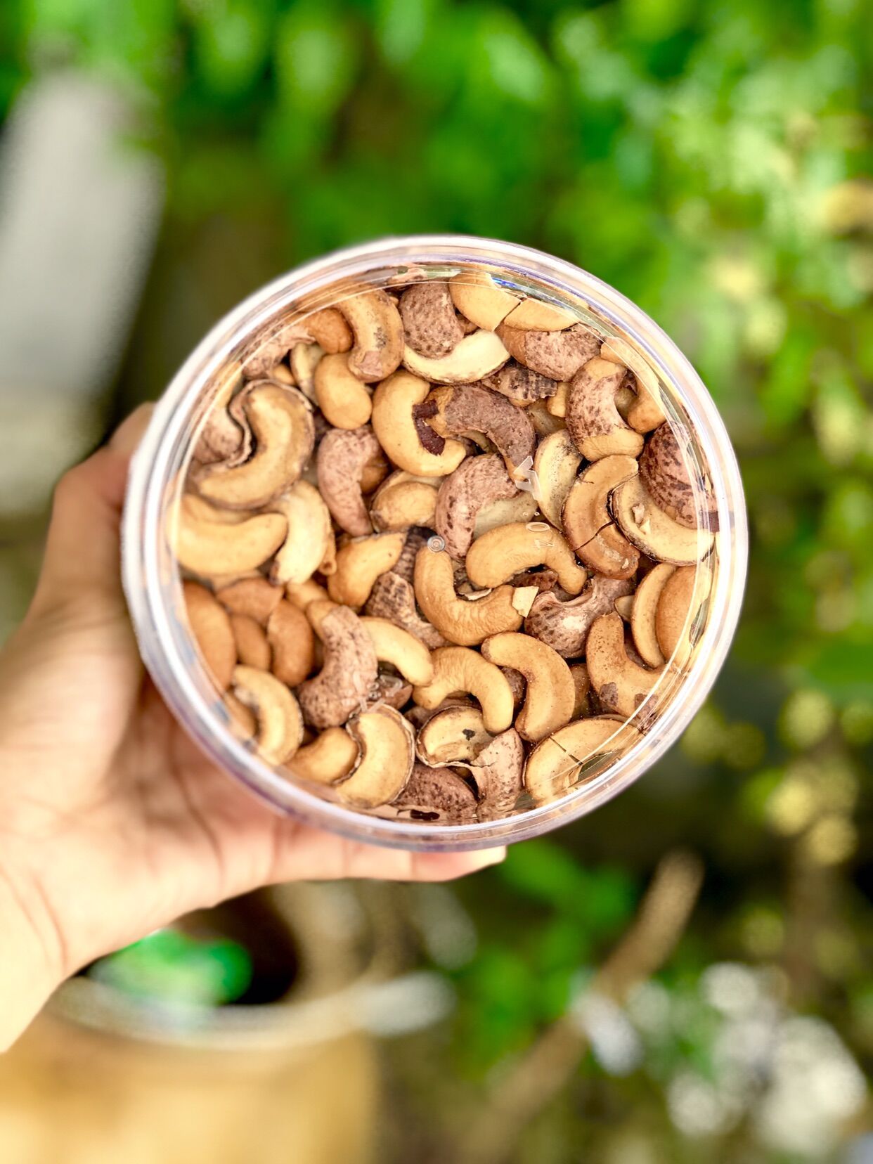 Hộp 500 gram hạt điều rang muối bể đôi có vỏ lụa chuẩn bình phước
