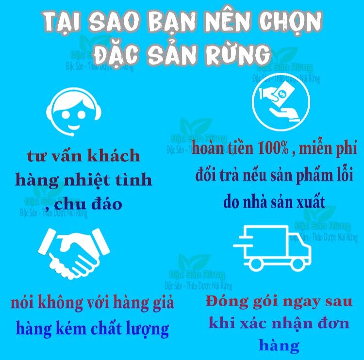 [ 100gr ] Cốt Toái Bổ ( củ Tắc Kè Đá ) Khô Thơm - Vàng Đẹp