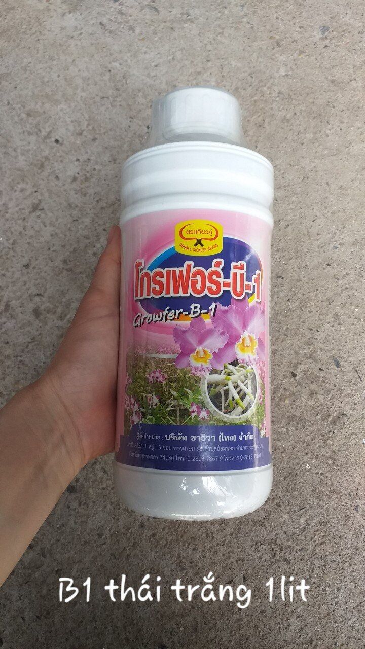 Phân bón lá kích rễ cao cấp Vitamin B1 growfer Thái Lan Chai 1 lít
