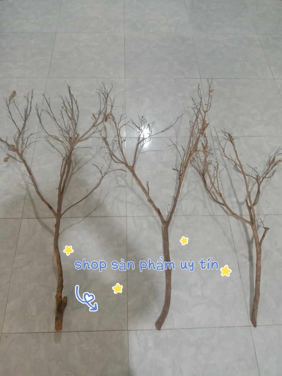 Cành củi trang trí (80cm-1m)
