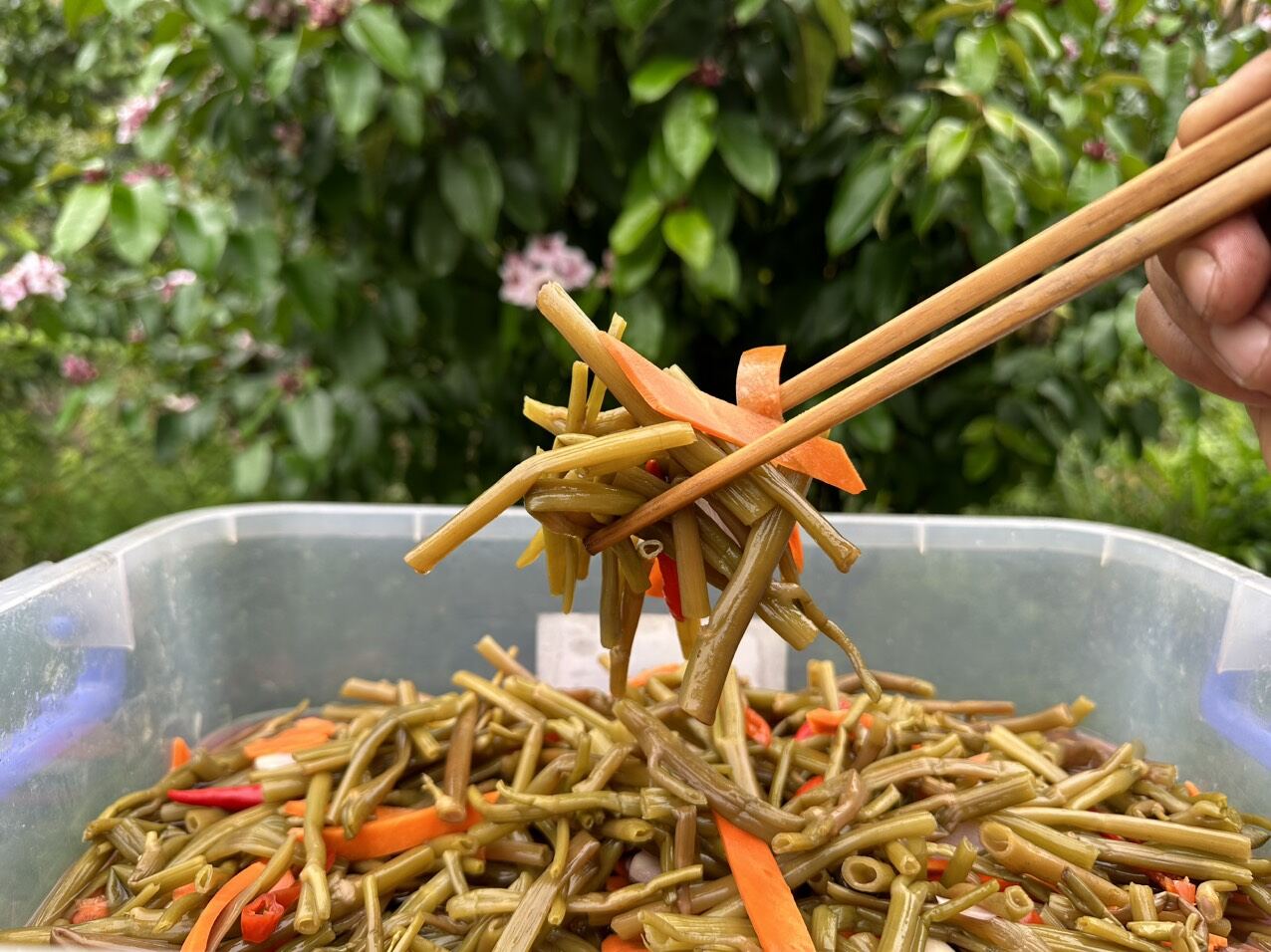 Rau muống đồng chua ngọt hũ 700gr