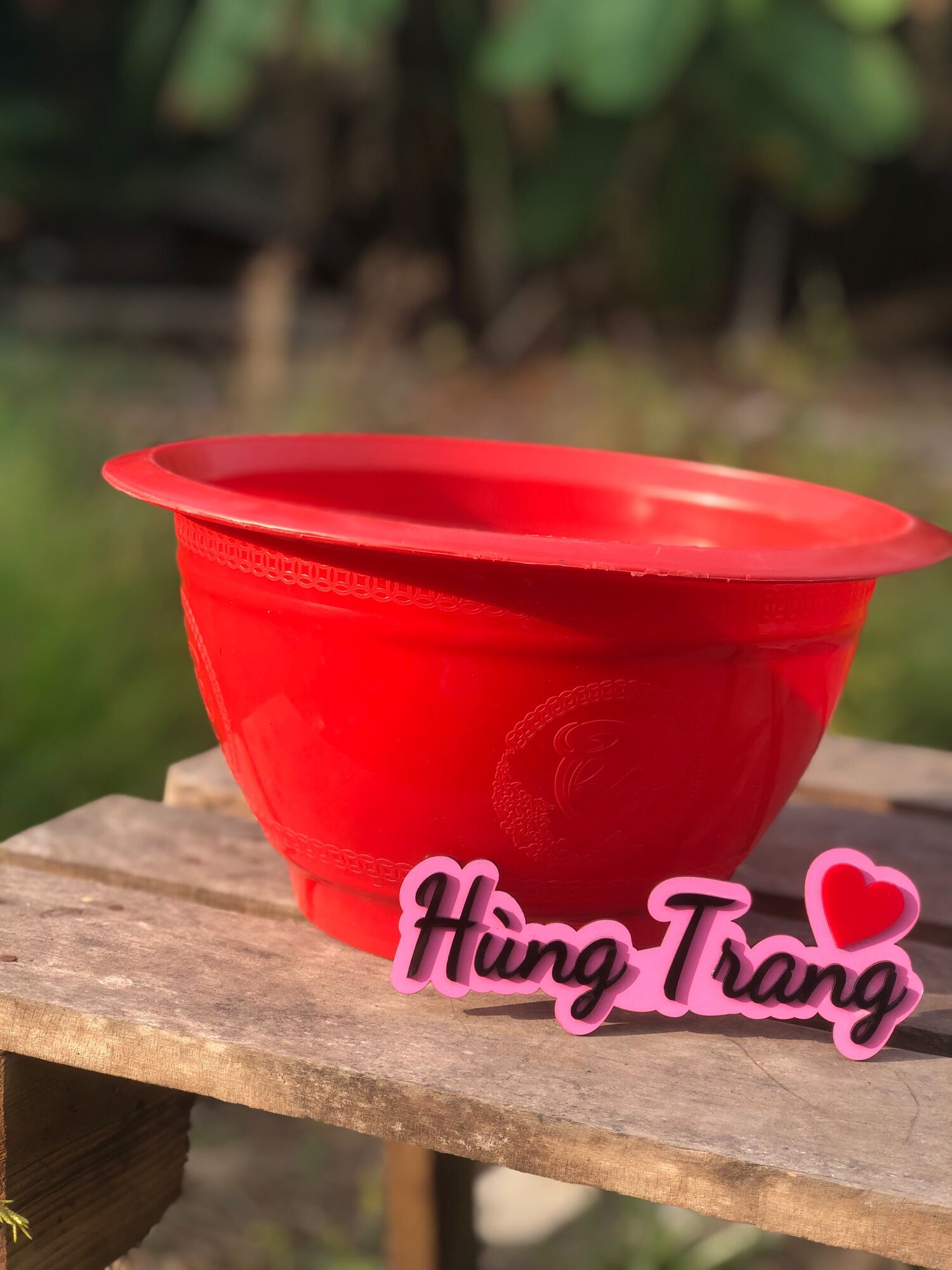 Chậu T38 truyền thống Đỏ combo 10 chậu