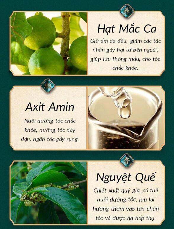 Dầu Gội Xã Tinh Chất Mắc Ca - Hàng Nội Địa Trung