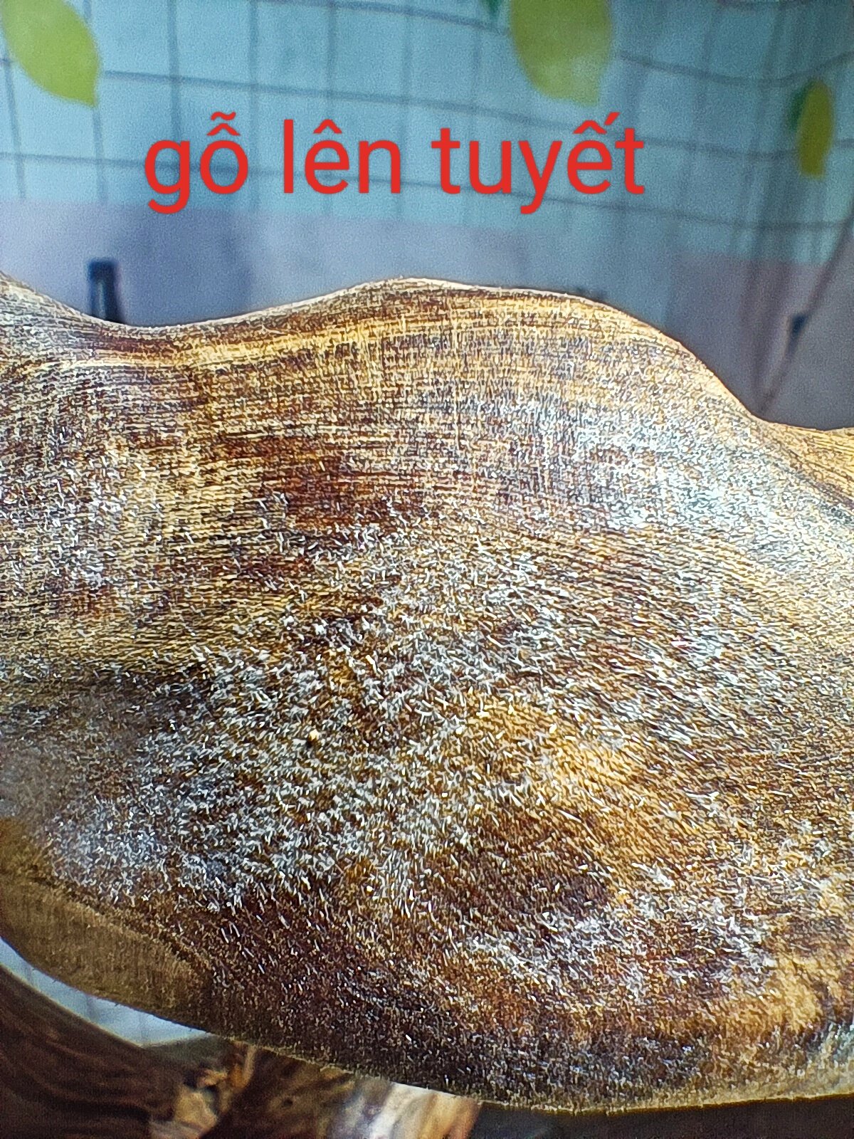 lũa gỗ thơm ngọc am đỏ hà giang