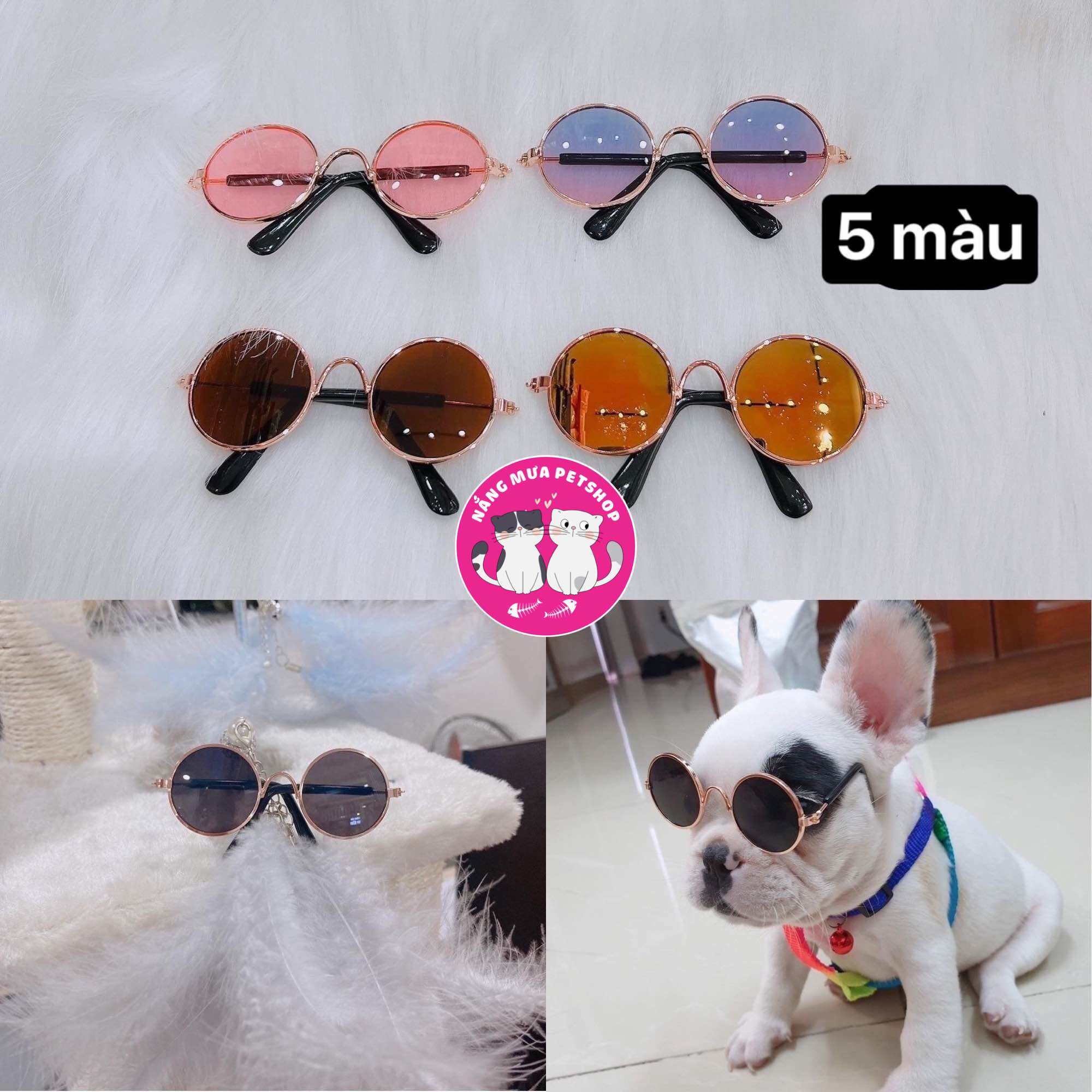 Mắt kính cho mèo chó thú cưng bao ngầu