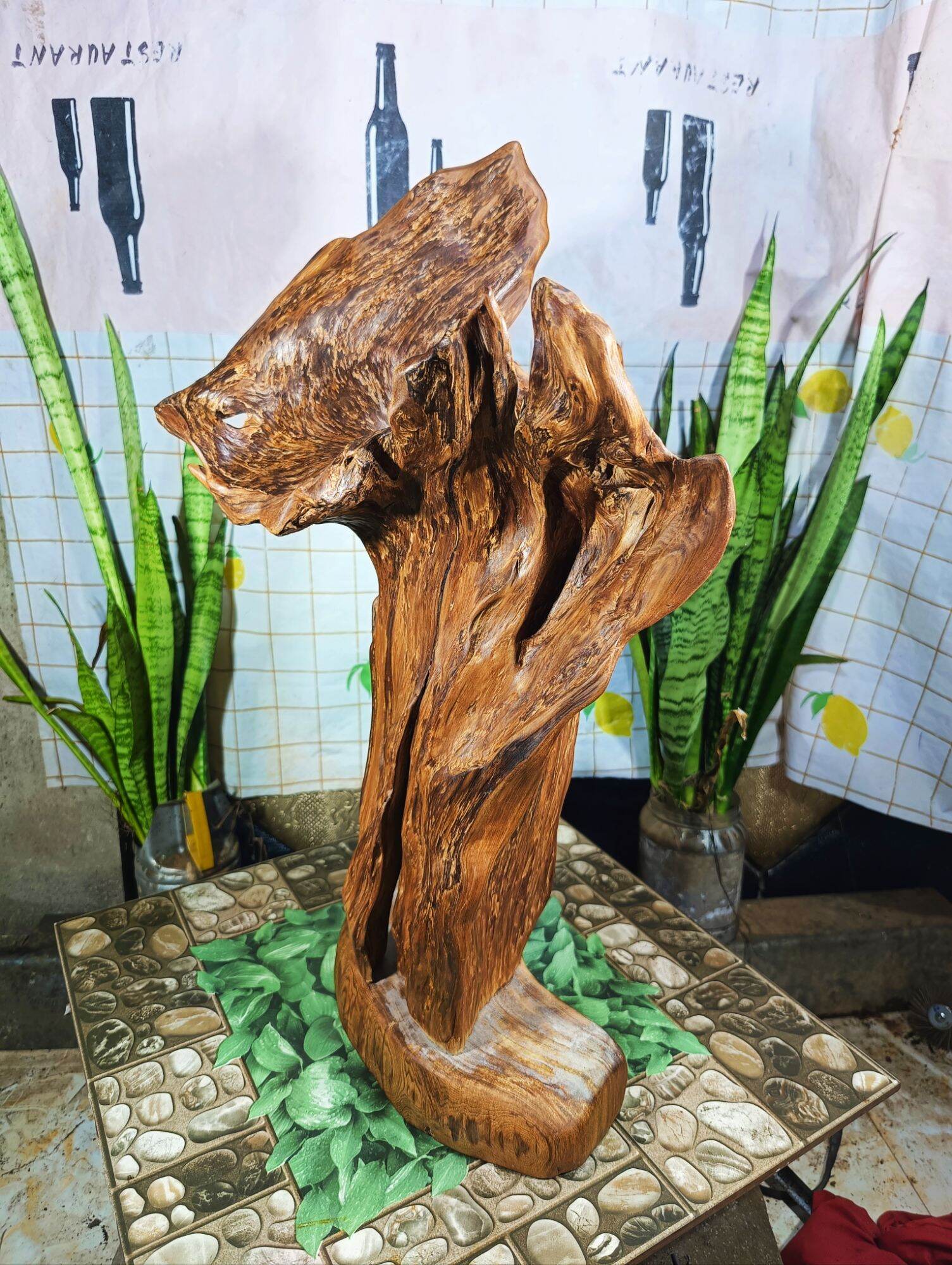 lũa ngọc am đỏ hà giang