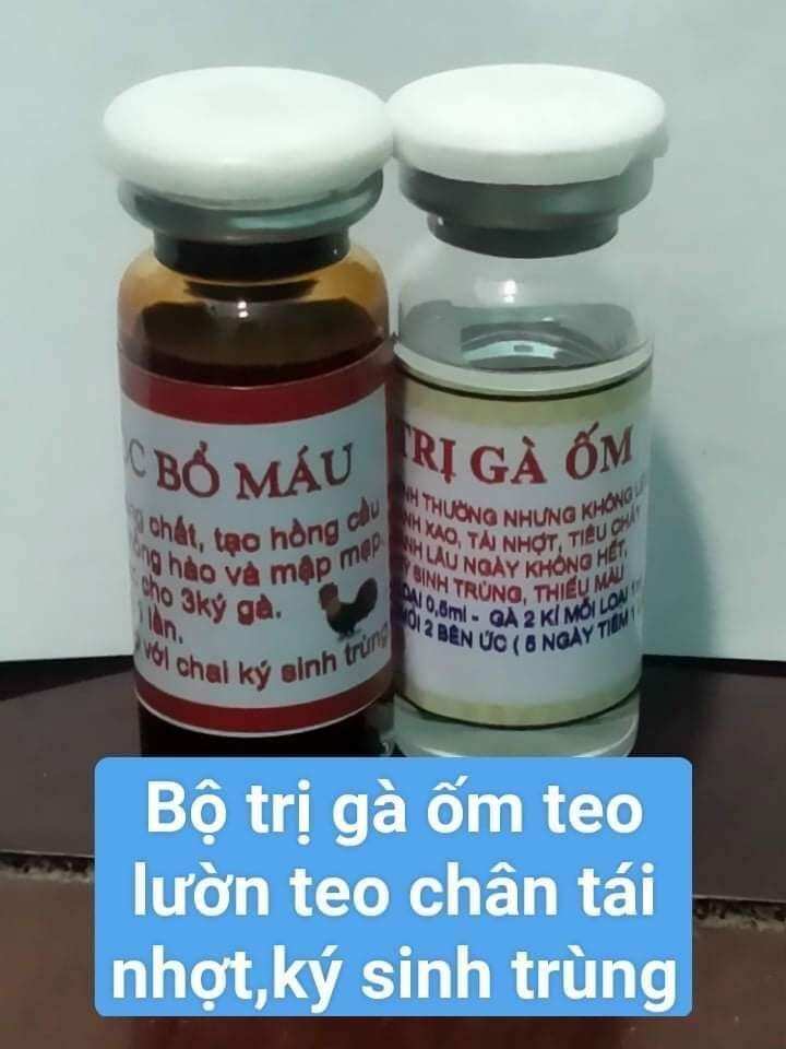 GÀ ỐM TRONG, TEO LƯỜN, NHIỄM KÝ SINH TRÙNG