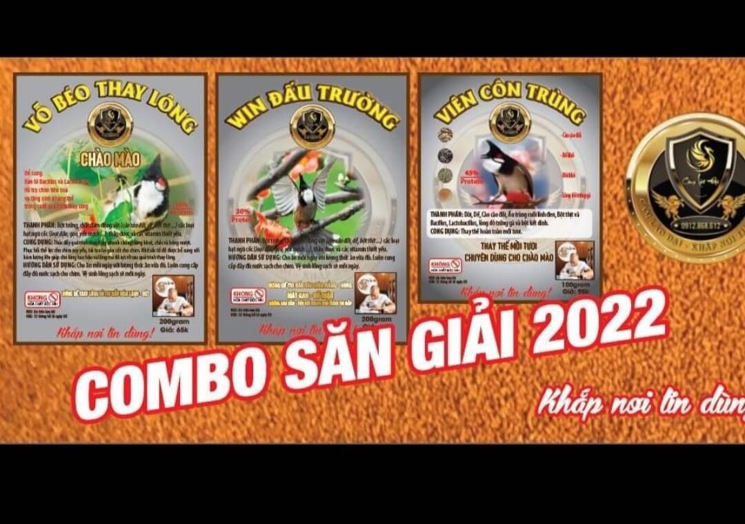 Cám win đấu trường Lão Đại ( dành cho chào mào đấu)