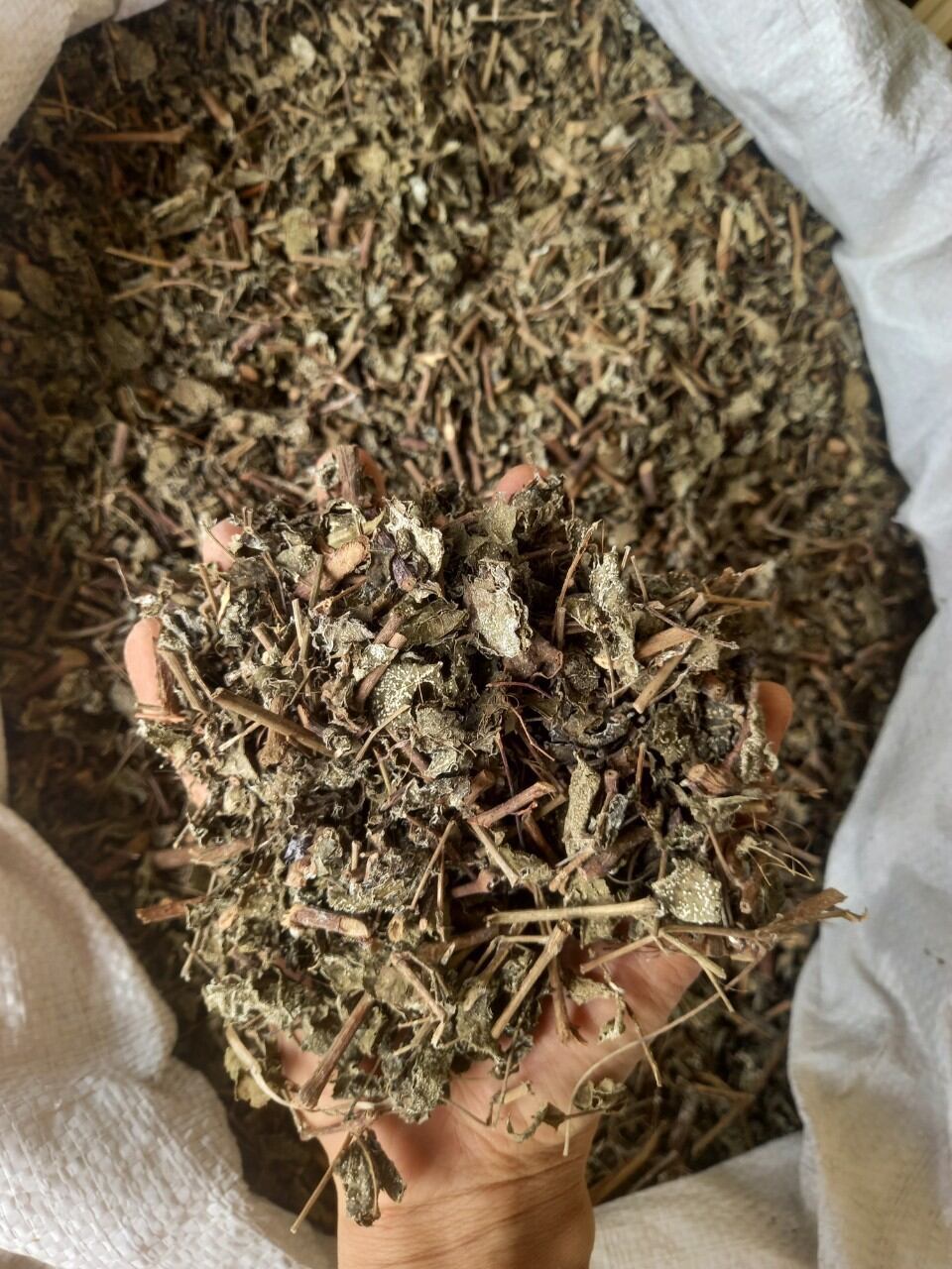 chè dây sapa 1 kg