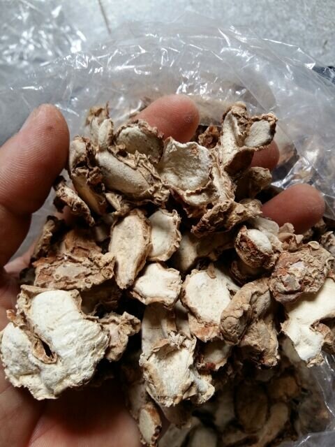 500g địa liền khô