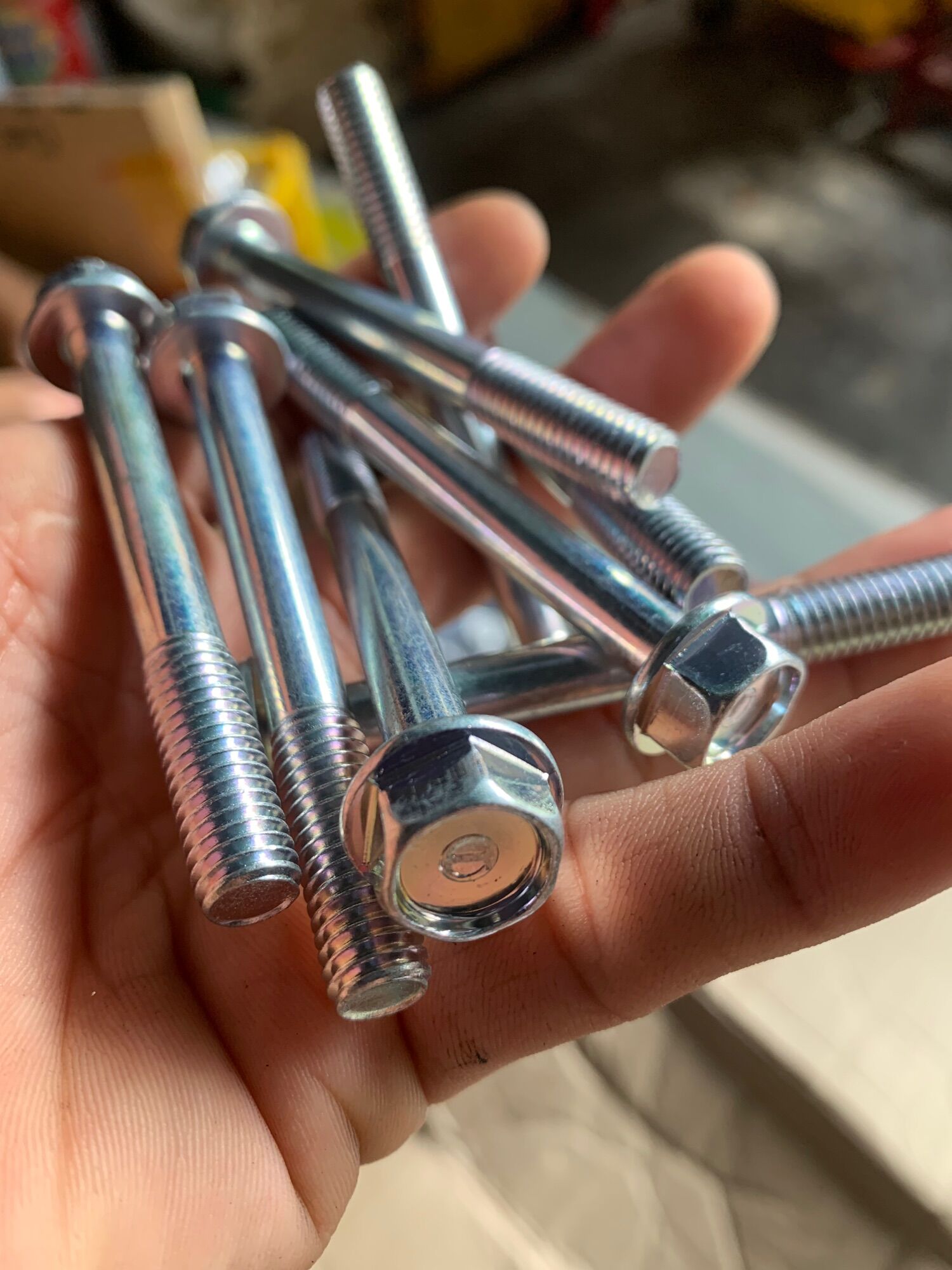 Ốc 8ly 2-3-4-5-6-7 phân (5 con) (loại xịn)