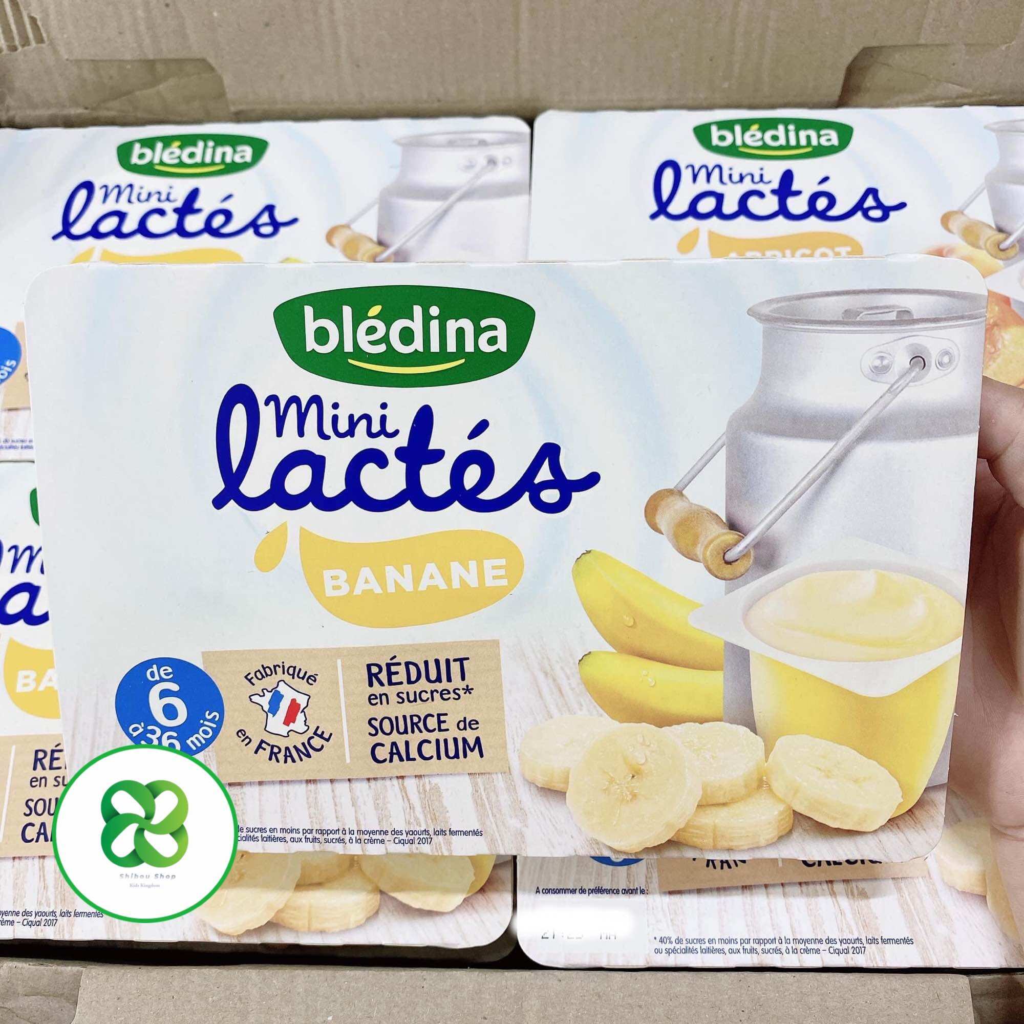 SỮA CHUA BLEDINA MINI LACTES NHIỀU VỊ