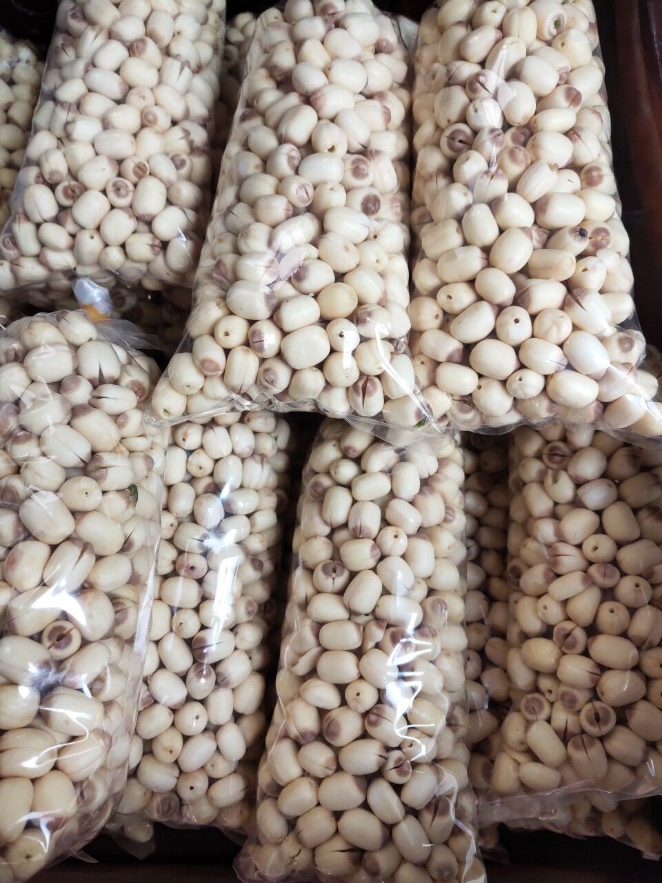 Hạt sen tươi Đồng Tháp