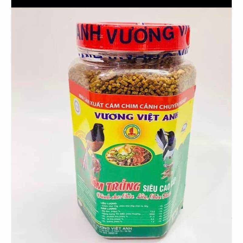 Cám chim chích choè than, choè lửa Vương Việt Anh