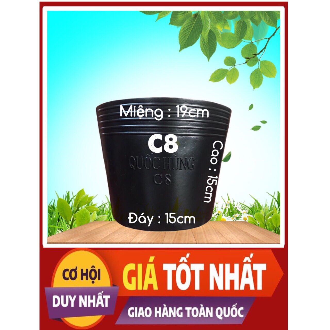 Combo 50 chậu C8 thương hiệu Quốc Hùng dầy dặn