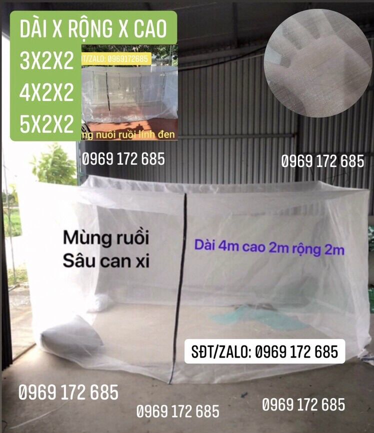 Mùng lưới nuôi cào cào châu chấu