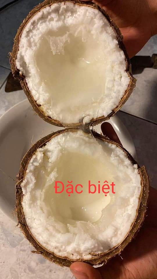 Dừa Sáp Cầu Kè Trà Vinh Cơm Siêu Dày, Nhiều Loại