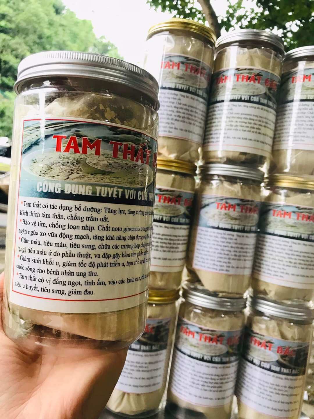 Tam thất bắc