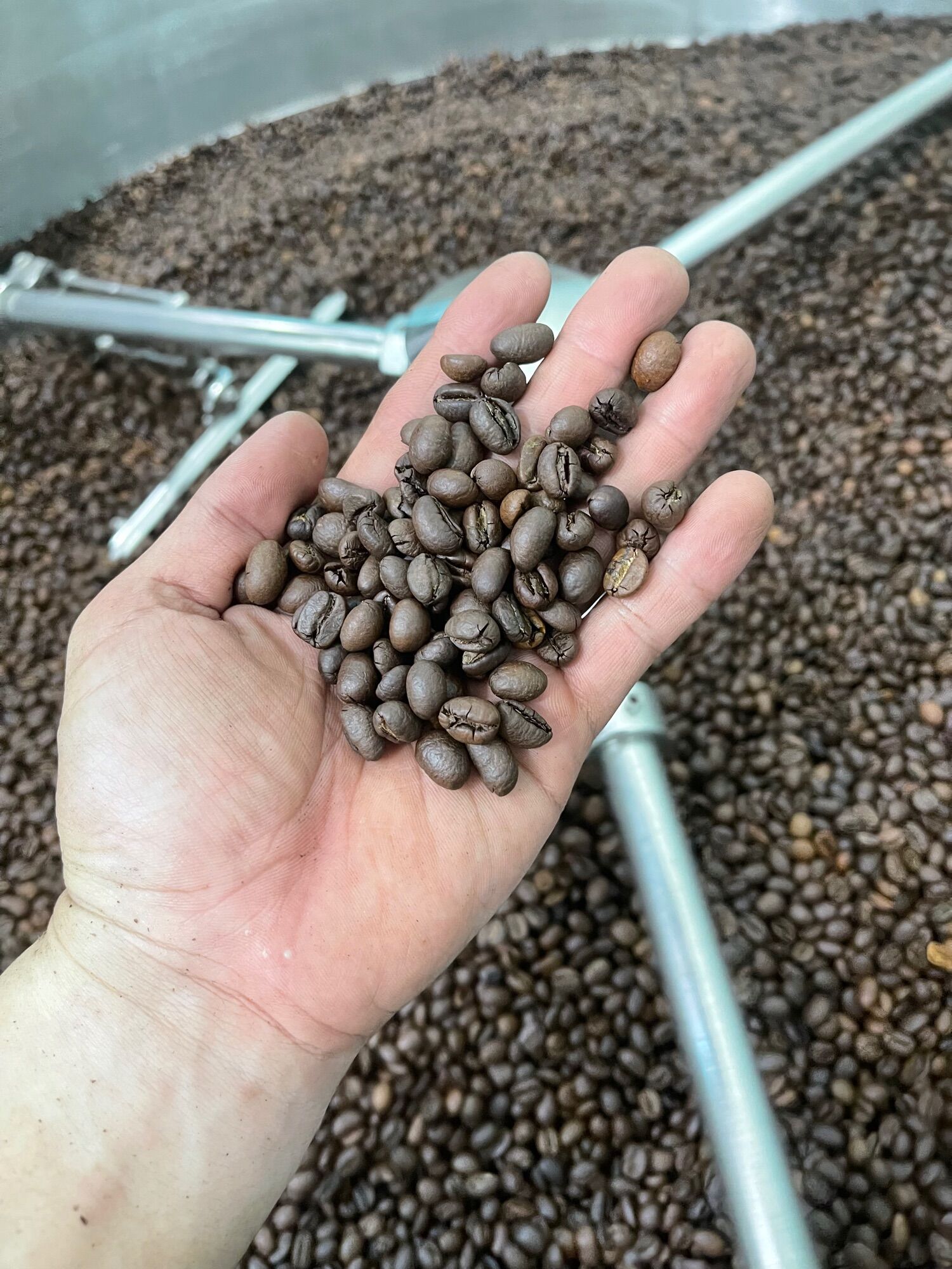 [HCM]Cà Phê Mộc Pha Phin Đặc Biệt Gói 500g