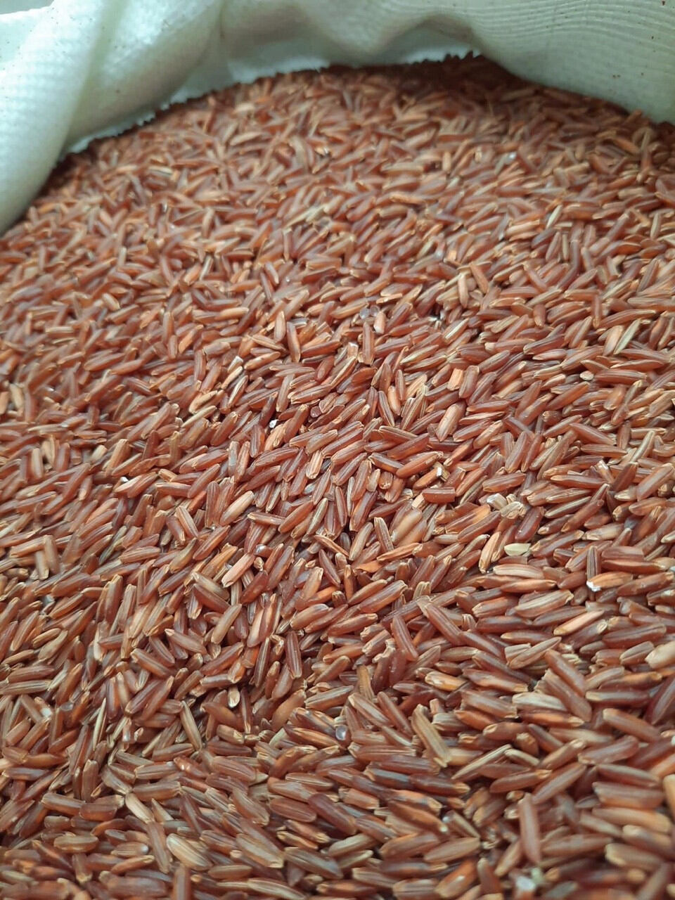 Mỳ Gạo Lứt