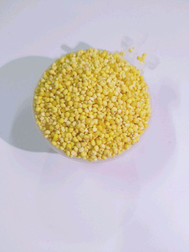 Hat kê tách vỏ ăn dặm organic cho hamster