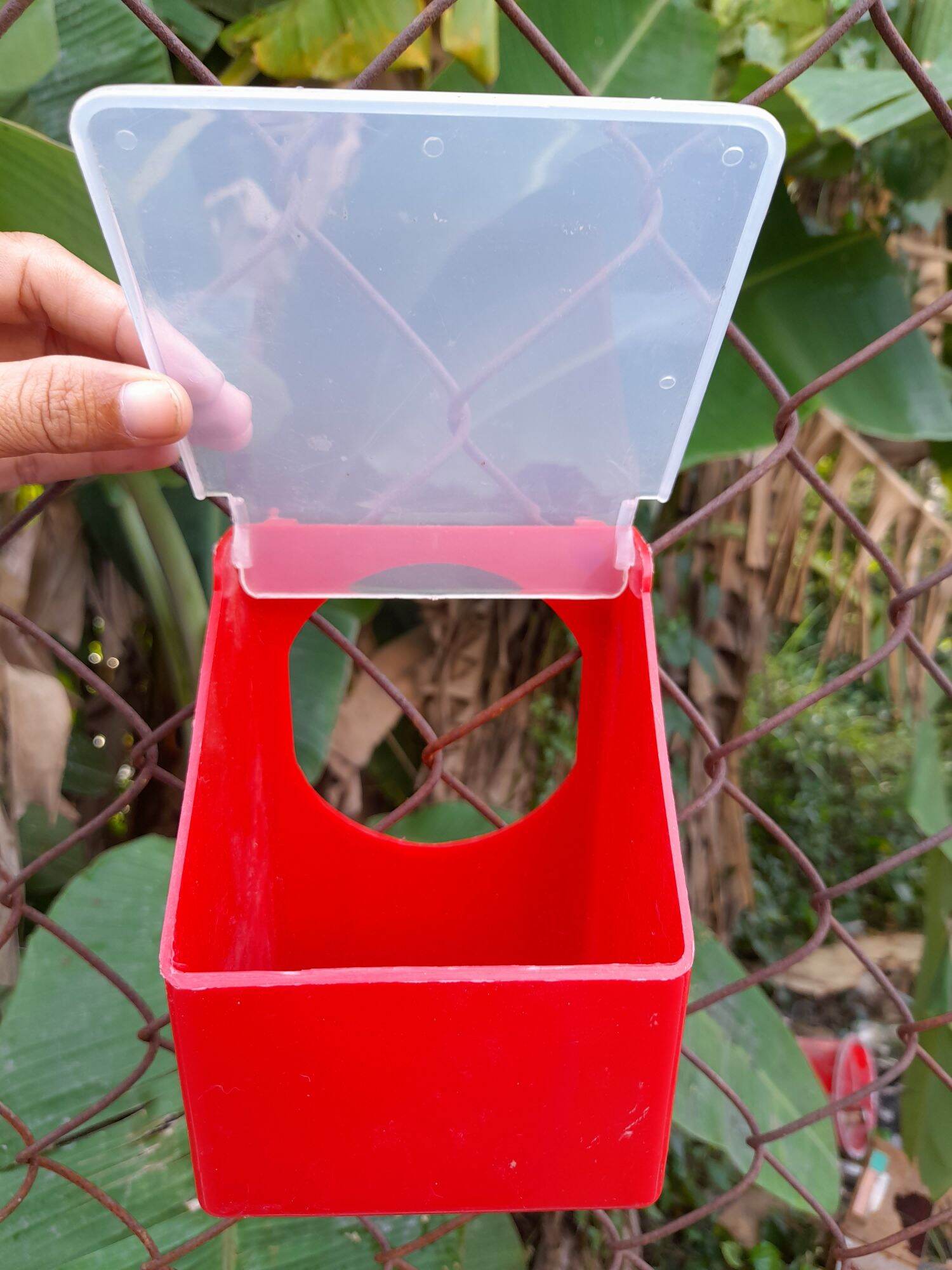 Khay đựng thức ăn cho chim bồ câu, gà tiện dụng